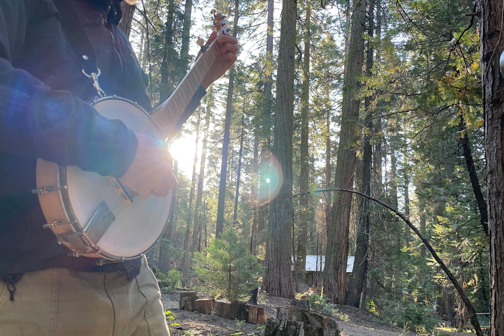Learn Banjo Faster with Deliberate Practice Banjo Mountain
