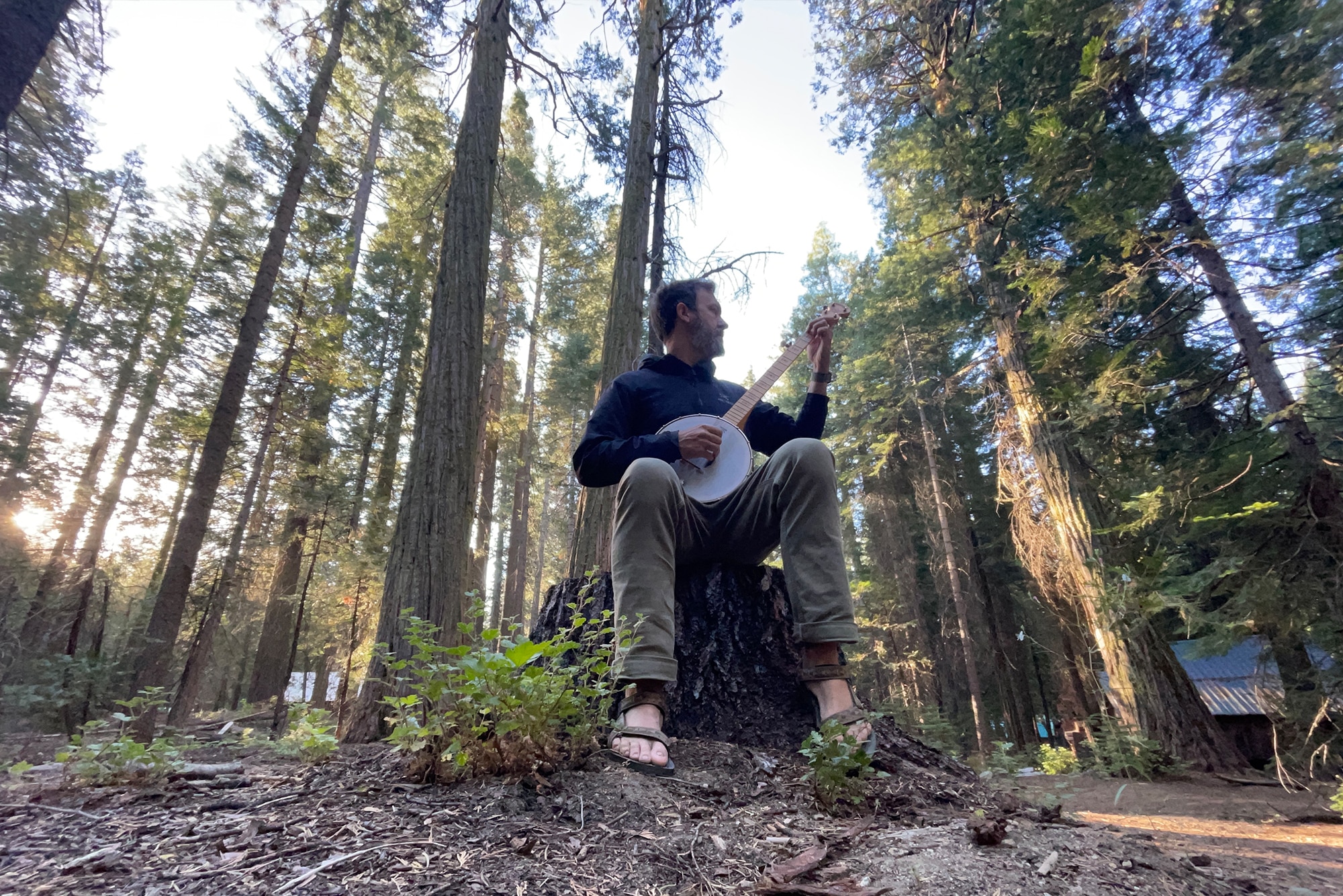 Learn Banjo Faster with Deliberate Practice Banjo Mountain